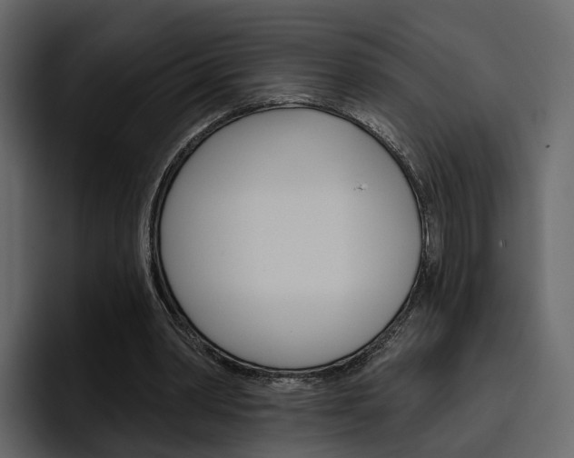 X0000097490390200802220845