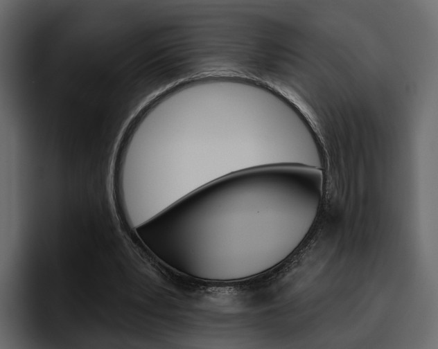 X0000097490391200802220845