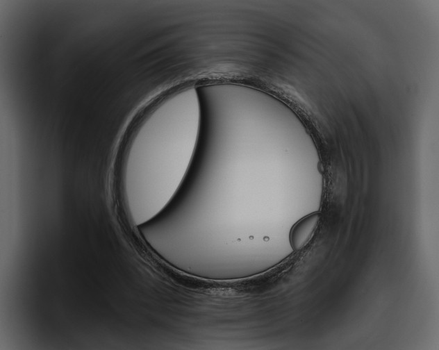 X0000097490392200802220845