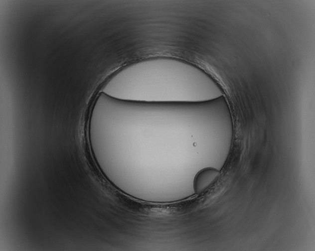 X0000097490394200802220845