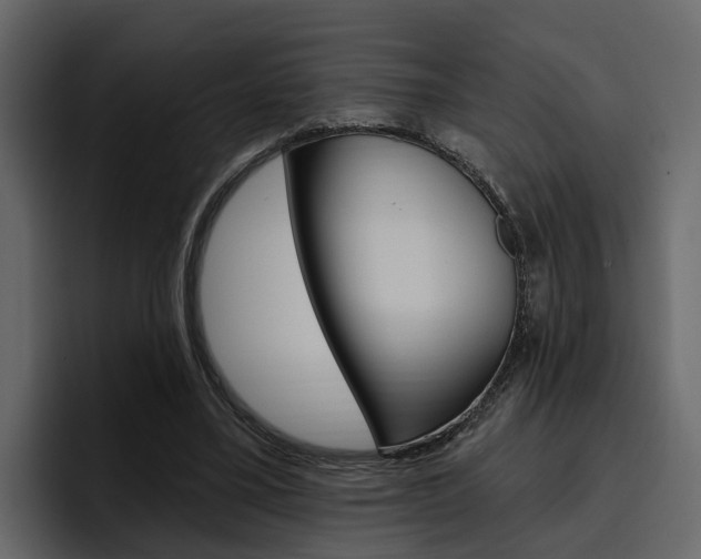 X0000097490395200802220845