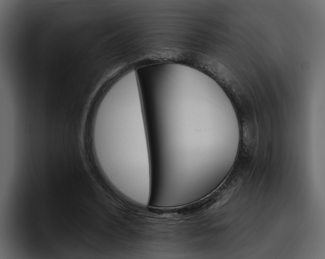 X0000097490396200802220845