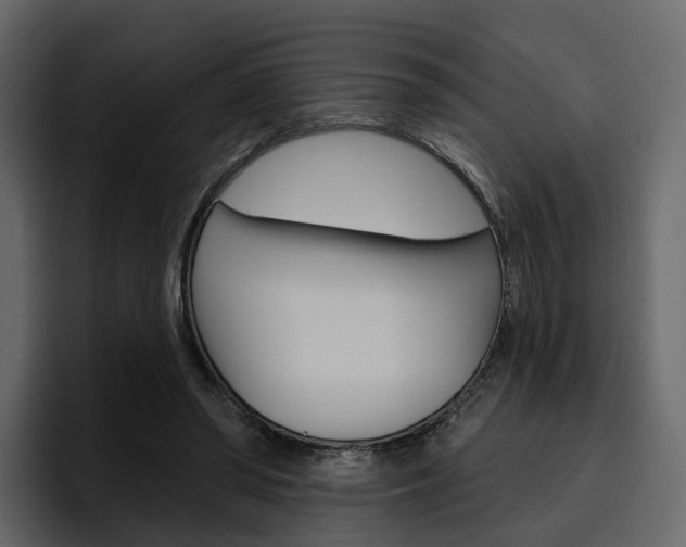X0000097490398200802220844