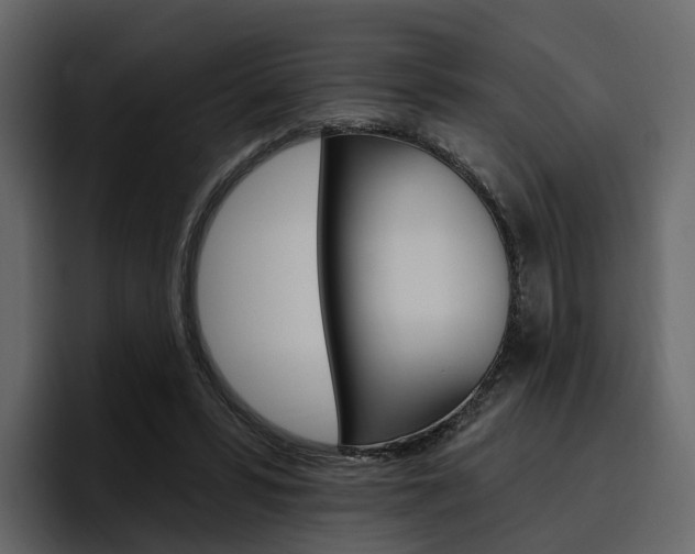 X0000097490399200802220844