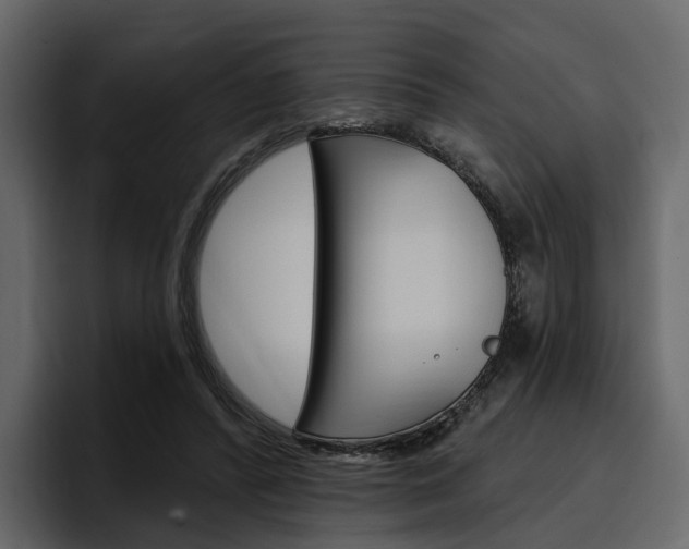 X0000097490400200802220844