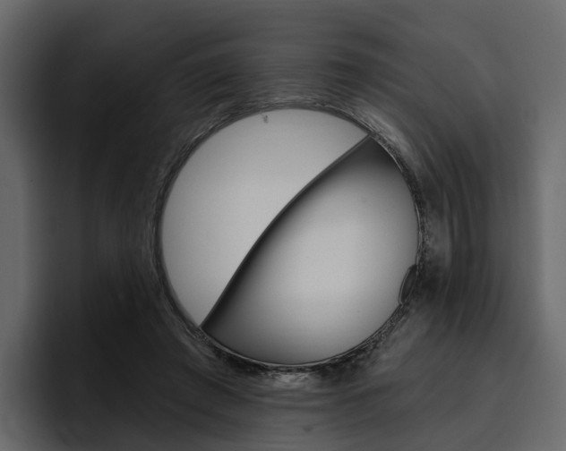 X0000097490401200802220844