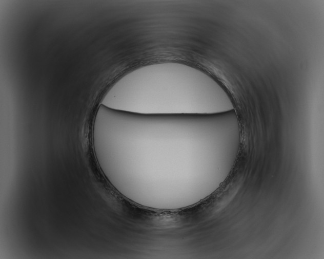 X0000097490402200802220844