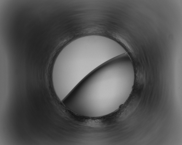 X0000097490403200802220844