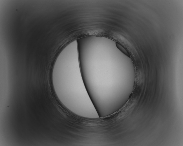 X0000097490405200802220844