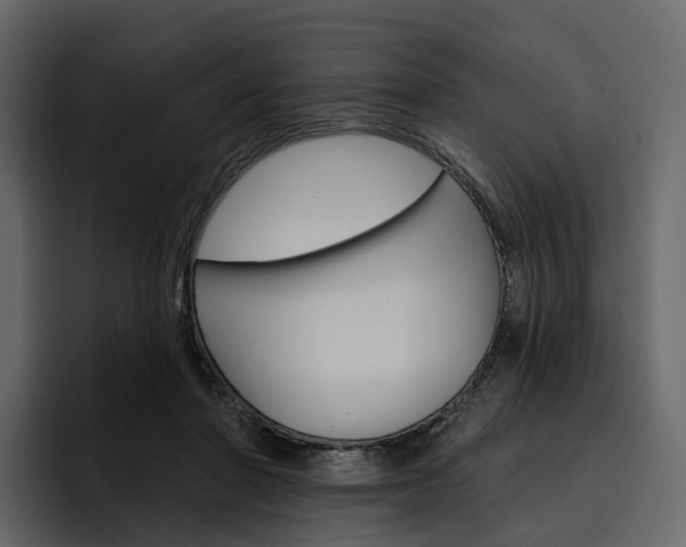 X0000097490406200802220844