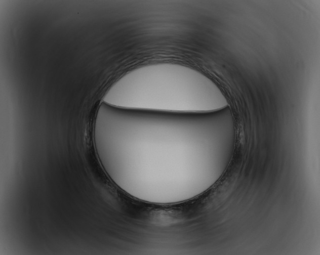 X0000097490408200802220844