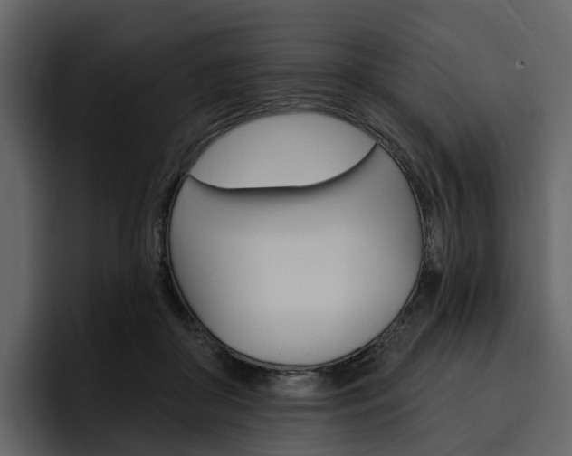 X0000097490410200802220844