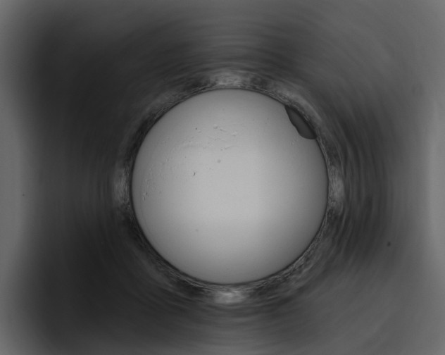 X0000097490411200802220844