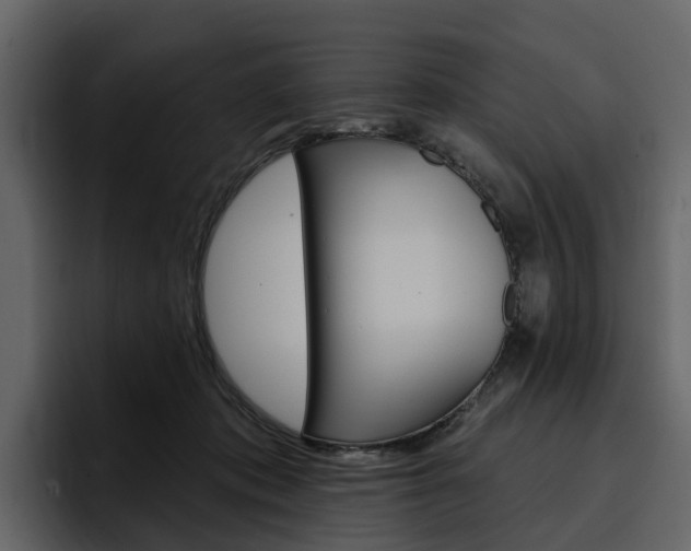 X0000097490413200802220844