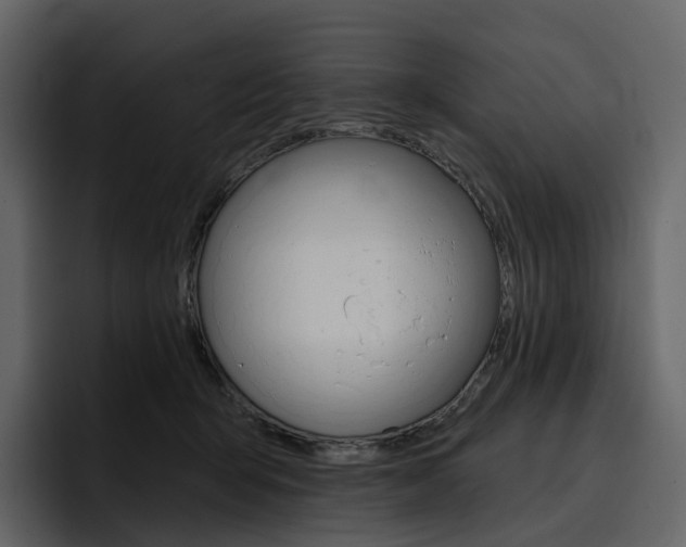 X0000097490415200802220844