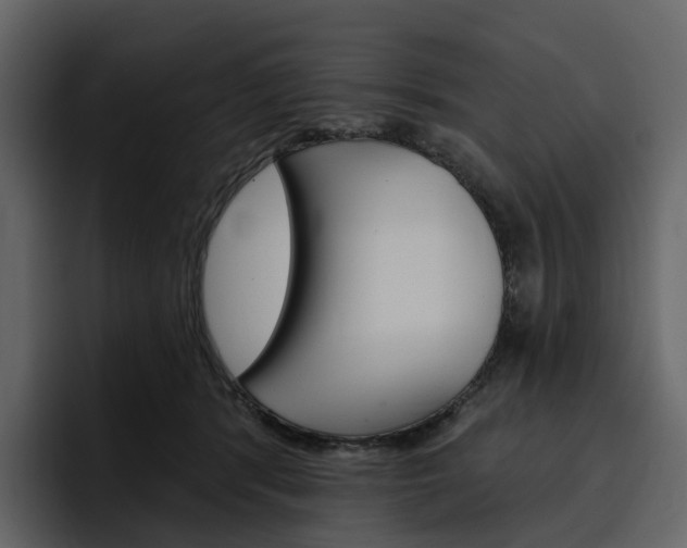 X0000097490416200802220844