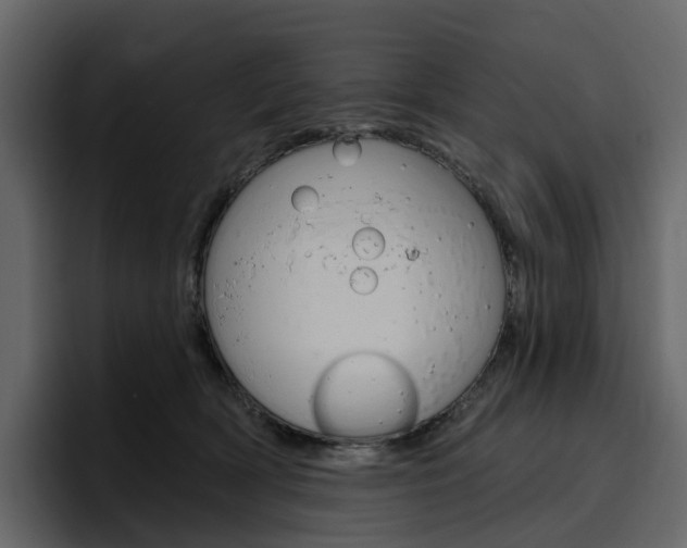 X0000097490418200802220844