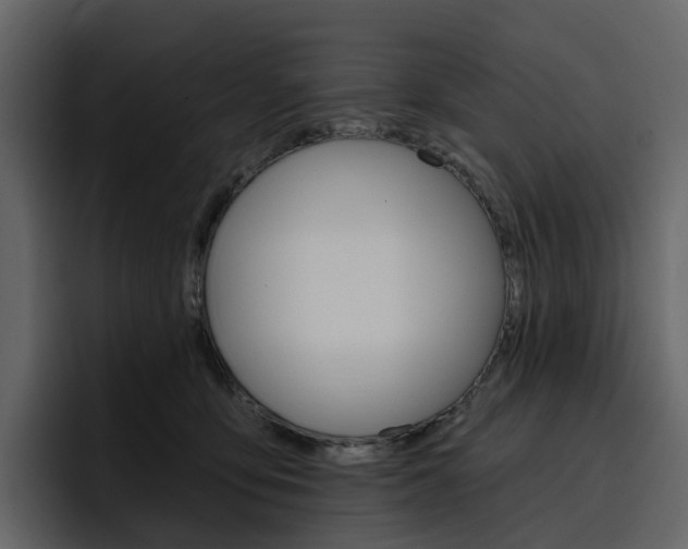 X0000097490419200802220844