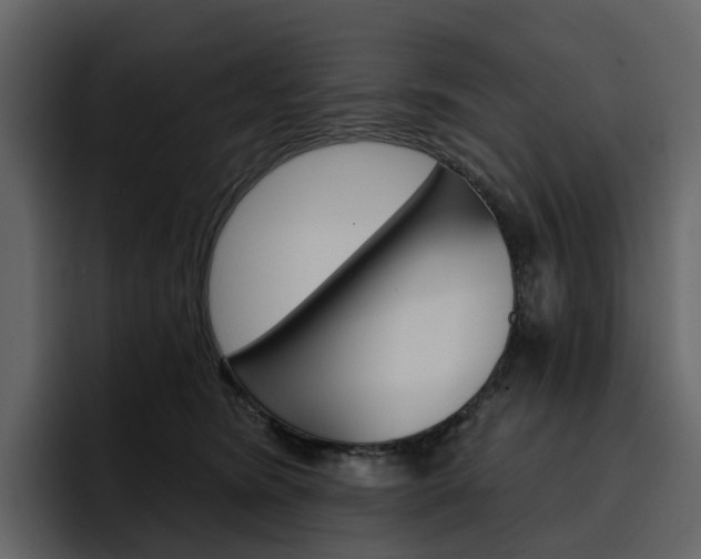 X0000097490420200802220844