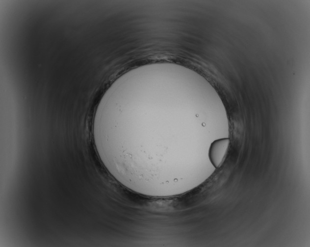 X0000097490422200802220844