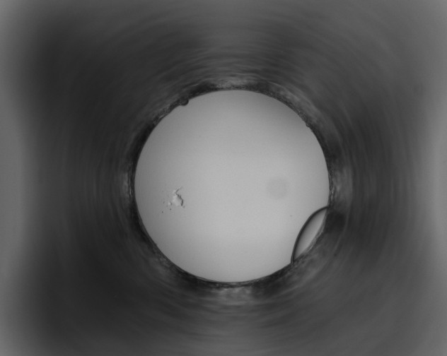 X0000097490426200802220844