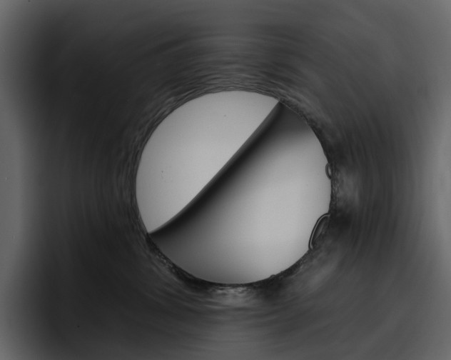 X0000097490428200802220844