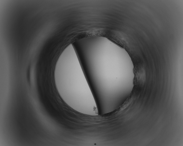 X0000097490429200802220844