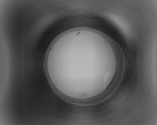 X0000097490431200802220844