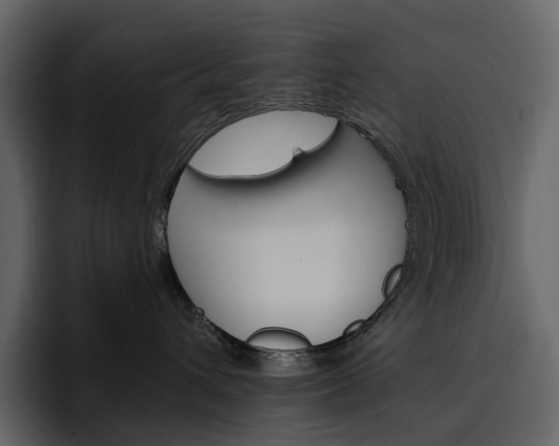 X0000097490432200802220844