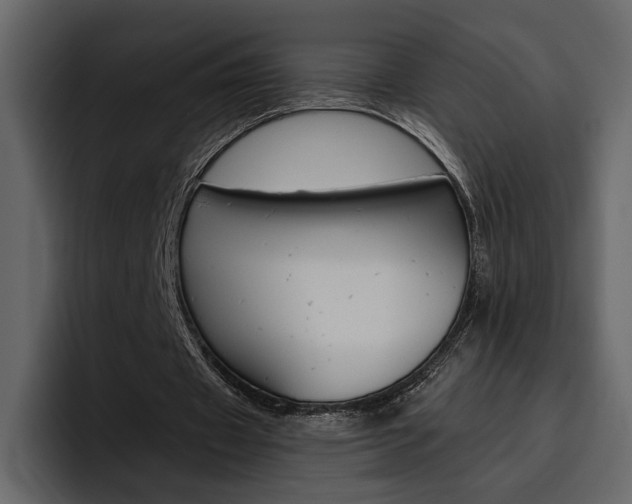 X0000097490433200802220843