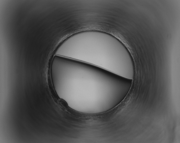 X0000097490434200802220843