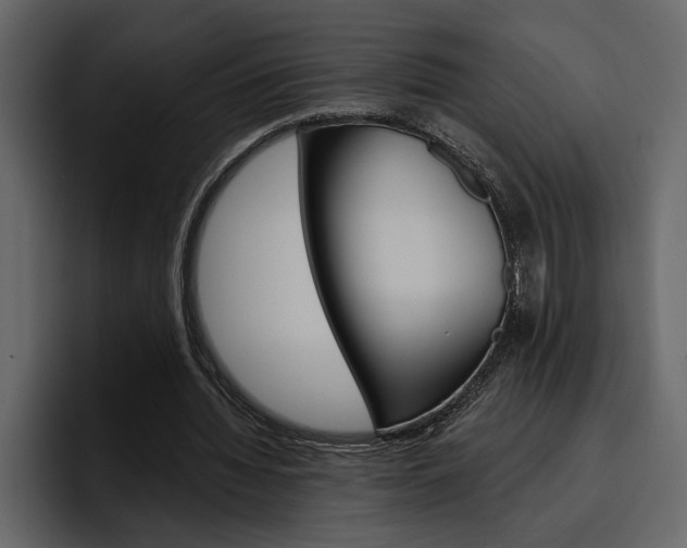 X0000097490436200802220843