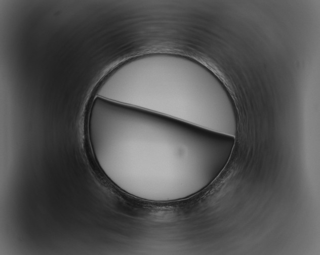 X0000097490438200802220843