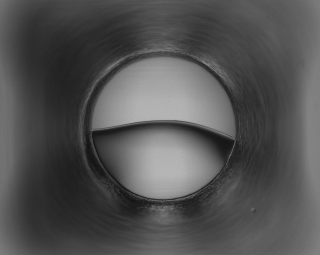 X0000097490440200802220844