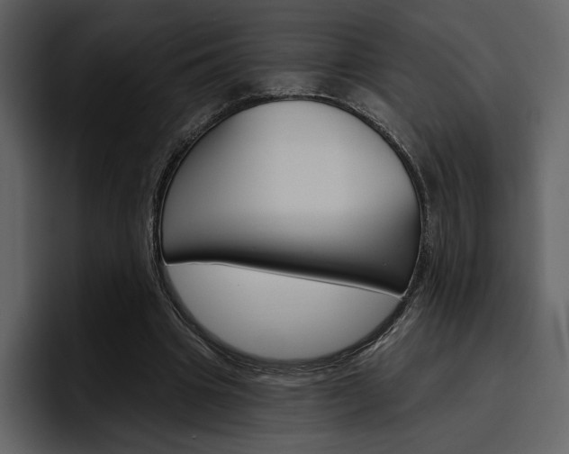 X0000097490441200802220844