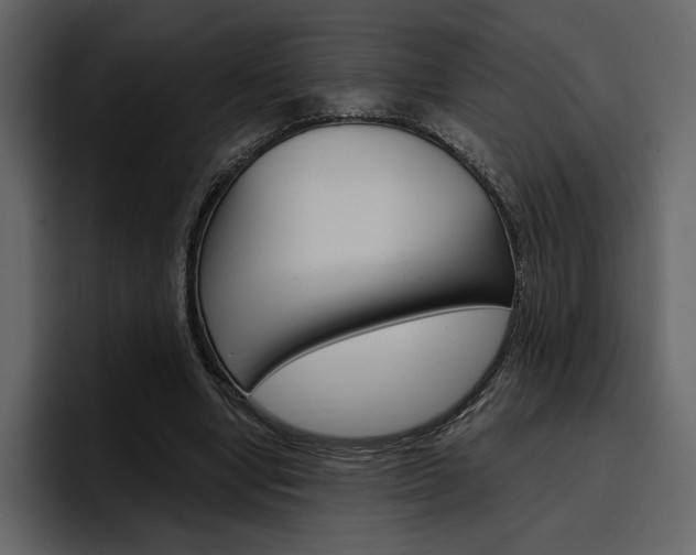 X0000097490442200802220844