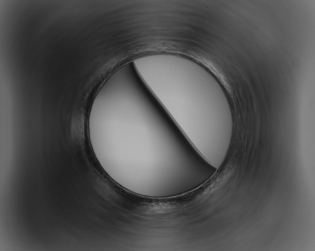 X0000097490445200802220844