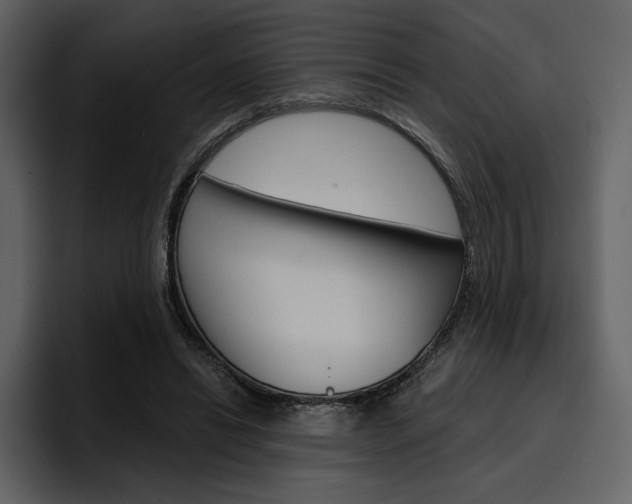 X0000097490446200802220844