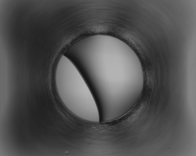 X0000097490447200802220844