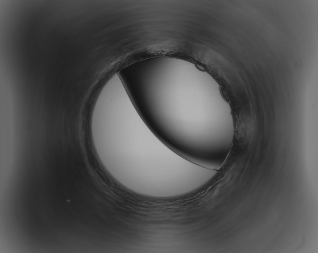 X0000097490448200802220844