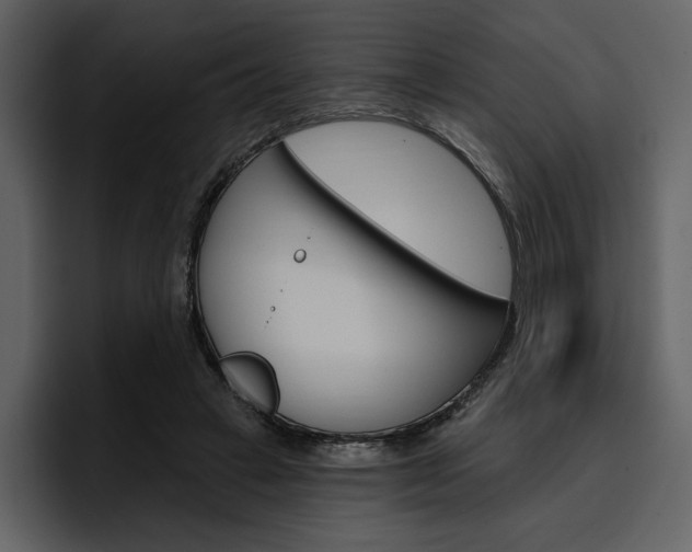 X0000097490449200802220844
