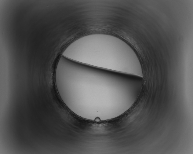 X0000097490450200802220844