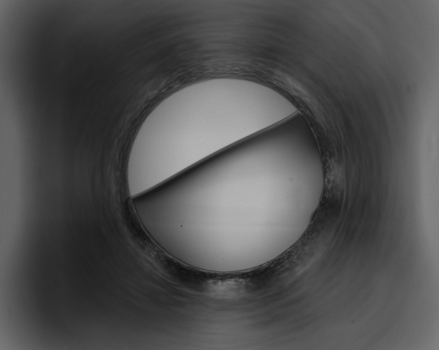 X0000097490452200802220844