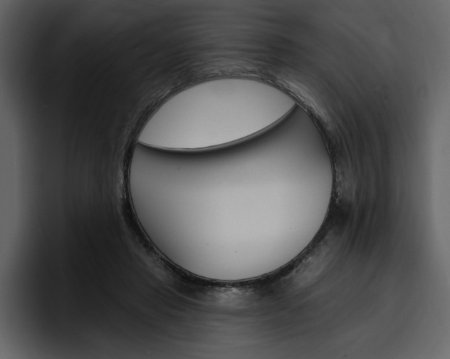 X0000097490453200802220844