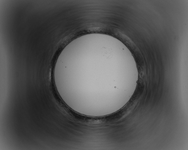 X0000097490454200802220844
