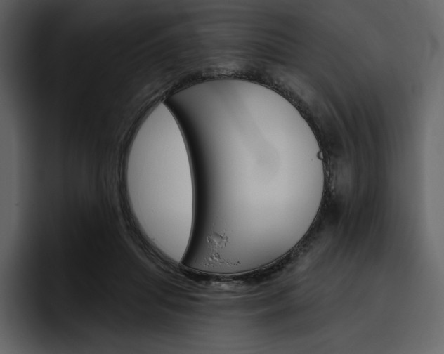 X0000097490455200802220844