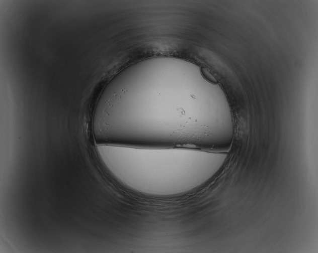 X0000097490456200802220844