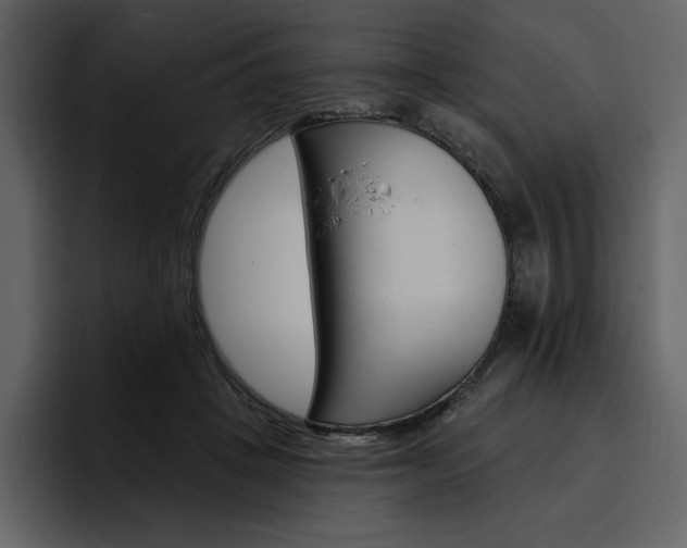X0000097490457200802220844