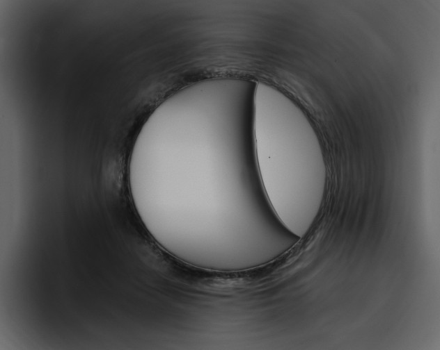 X0000097490458200802220844