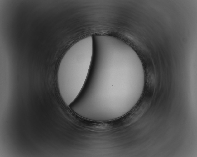 X0000097490459200802220844